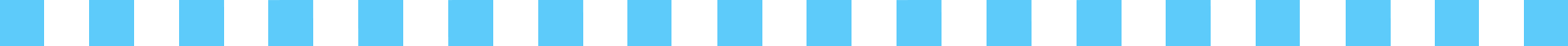 blue checkered border