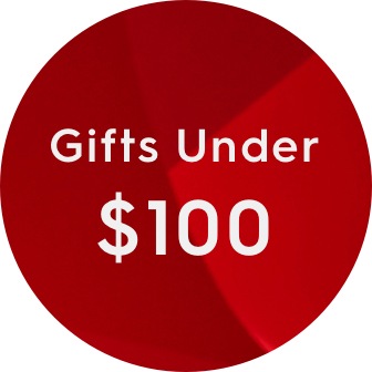 gifts under $100