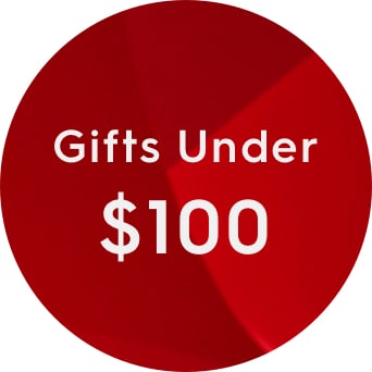 gifts under $100