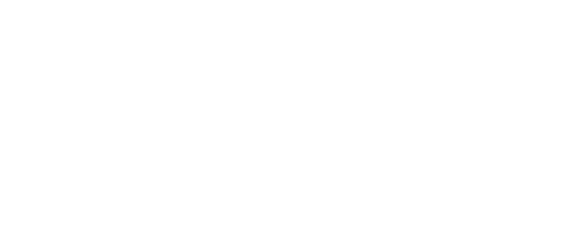 BOGO 1/2 off clearance