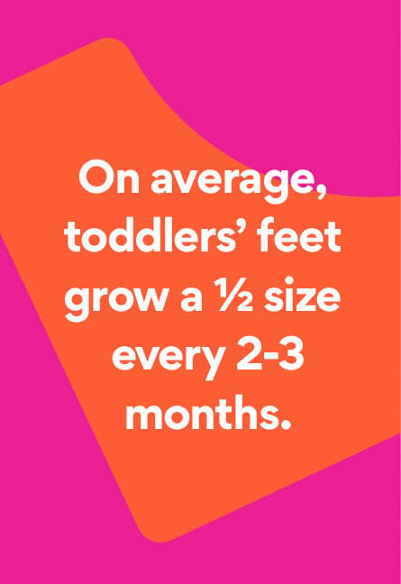on average, toddler's feat grow a 1/2 size every 2-3 months