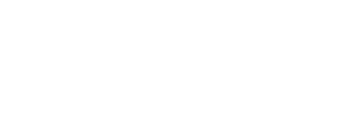 white PayPal logo