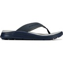 Navy/Grey