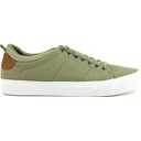 Olive Canvas