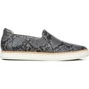 Grey/Black Snake