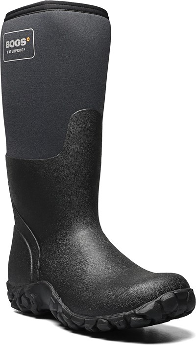 Men's Mesa Waterproof Tall Winter Boot