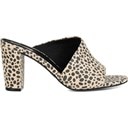 Animal Print