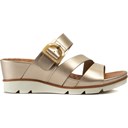 Soft Gold