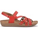 Red Lizard Print