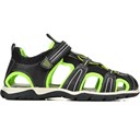 Navy Lime Green
