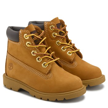 34562_pair_feed351.jpg