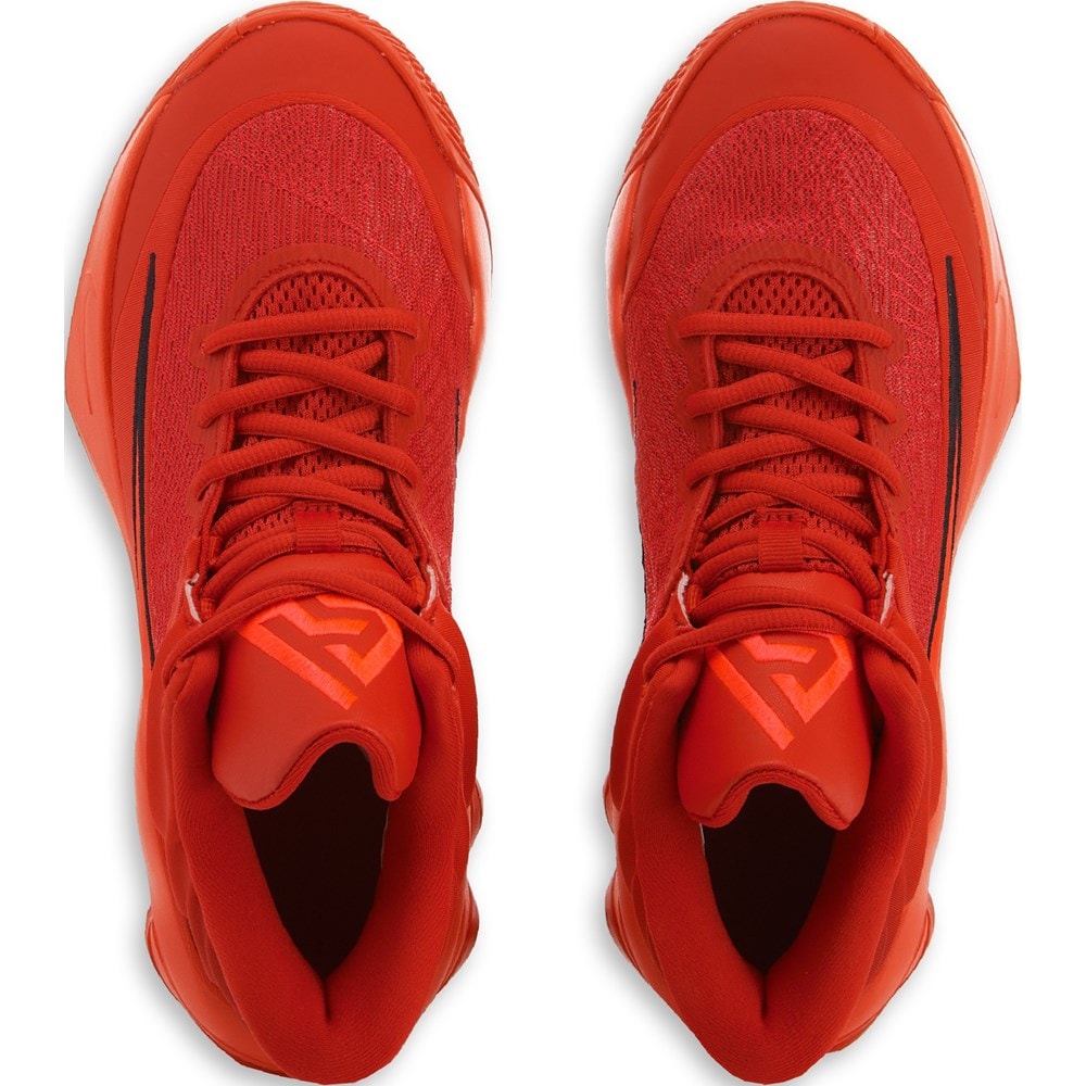 giannis shoes high top