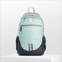 Halo Mint Green/Onix Grey