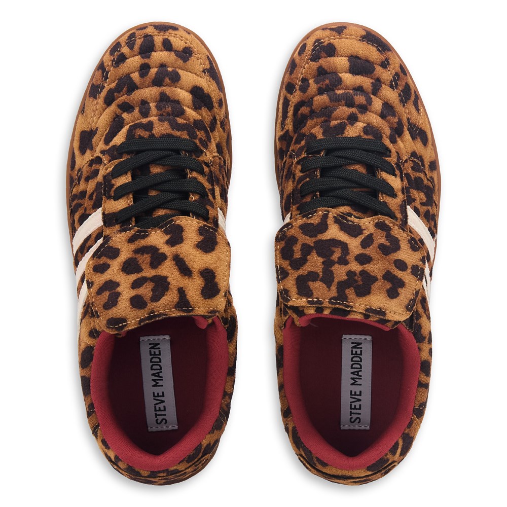 Steve Madden Women's Madrid Sneaker | Famous Footwear
