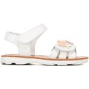 White/Multi