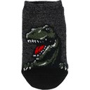 Black Dinosaur