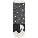 Black/White Dog