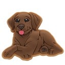 Jibbitz Charms