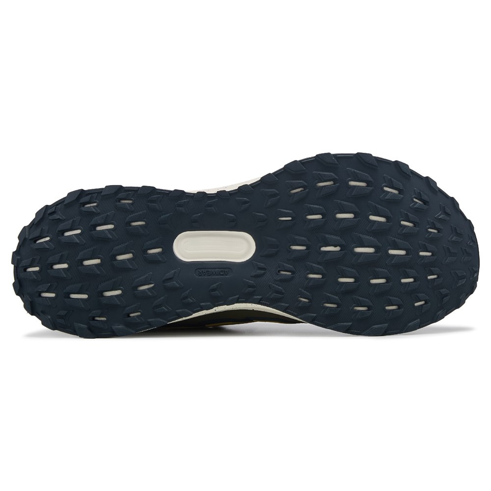 Men's UltraRun 5.0 TR Running Shoe