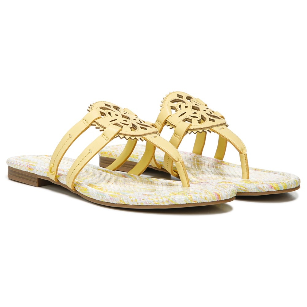 Circus sandals famous footwear sale