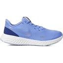 Blue/Metallic