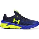Blue/Yellow