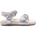 Silver Glitter