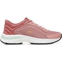 Light Coral Rose