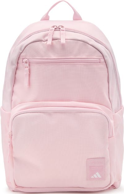 17 lightweight laptop backpack Lightweight 17.3" Laptop Backpack