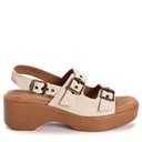 Chestnut