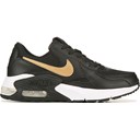Black/Gold