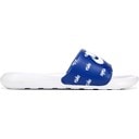 Blue/White