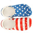 American Flag