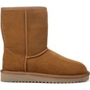 Chestnut